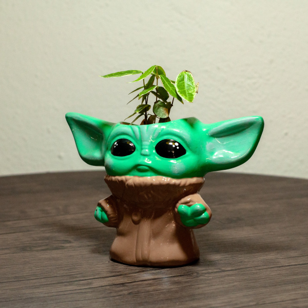 BABY YODA