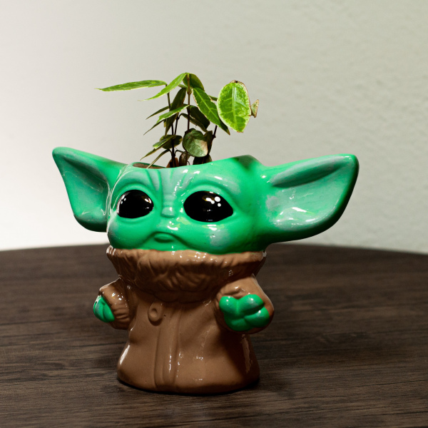 BABY YODA